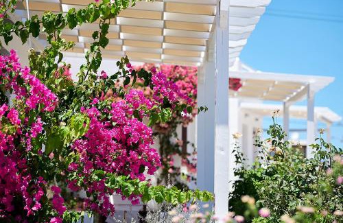 Apollonia Apartment | Mirabeli Apartments & Suites