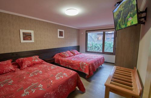 Osorno Apartment | mirabosque new aparments 4