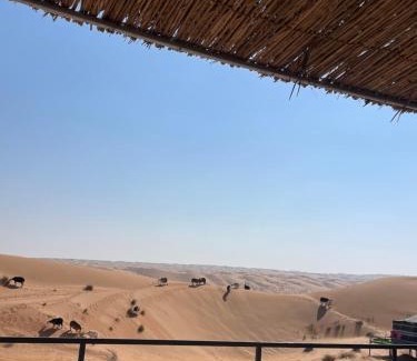 Bidiya Other | Mirage Desert Camp