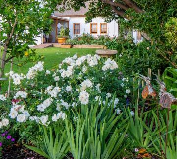 Prince Albert House | Mirtehof Guest Farm Estate