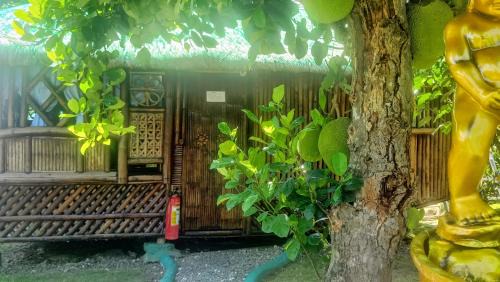 Moalboal Bed & Breakfast | Moalboal Bamboo House/Rooms