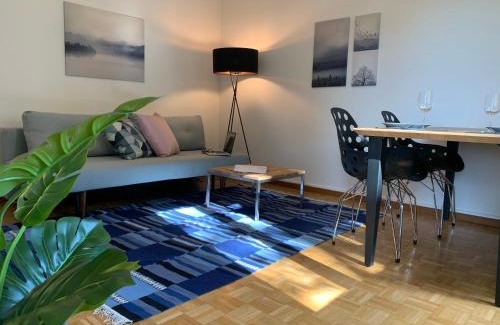 Glattbrugg Apartment | Modern 2 bedroom apartment close to Zurich airport