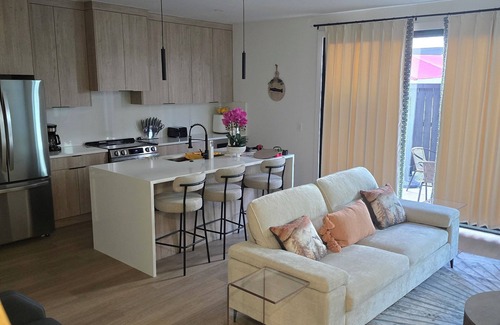 Dallas House | modern 3bedroom townhome in the Heart of Dallas Downtown New Build w/Jacuzzi, EV