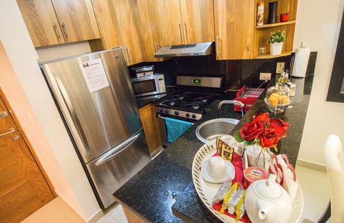 Downtown Santo Domingo Apartment | MODERN APARTMENT DOWNTOWN 1HAB PIANTINI SANTO DOMINGO