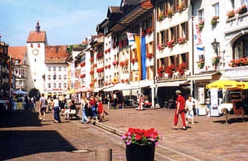 Waldshut-Tiengen Apartment | Modern apartment Smart Tv and parking near old town and train station