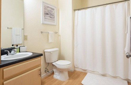 Creve Coeur Apartment | Modern Apartment in Prime Location (ID8230)
