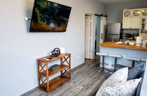 Santurce Apartment | Modern Apt in Santurce's Historical Art District - San Juan Puerto Rico