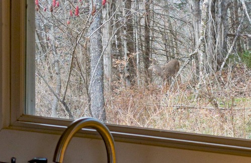 Margaretville Cabin | Modern Catskills Cabin + Game Room + King Bed + 5min to Margaretville
