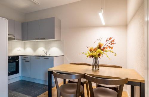 Central Interlaken Apartment | Modern City Apartments