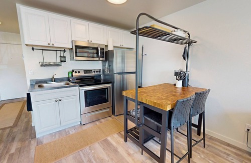 Evergreen Apartment | Modern condo with full kitchen & Washer/Dryer - Dog Friendly
