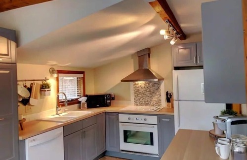 Historic District Cottage | Modern Cottage🏡3 Blocks to Main🚠4 minutes to Gondola♨️Hot Tub🐶Pets🤑$0 Cleaning fee