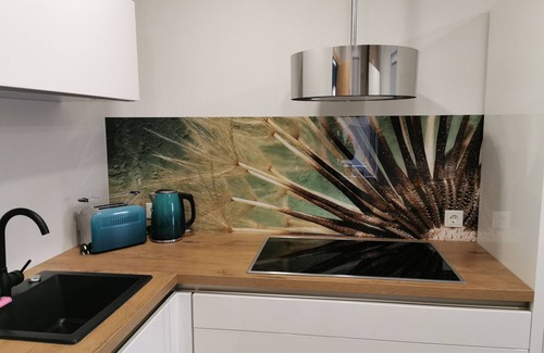 Floh Apartment | Modern Holiday Apartment Am Flohbach 1