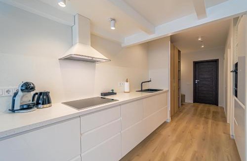 Marijampole Apartment | Modern Loft Apartment with free parking No 1