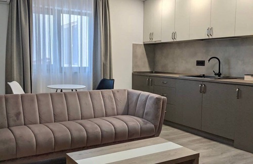 Dumbravita Apartment | Modern New and Elegant Apartment -PNM Residence D2