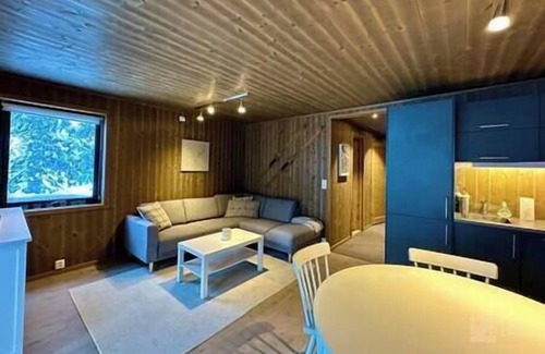 Ringsaker Apartment | Modern ski-in/out apartment at Sjusjøen