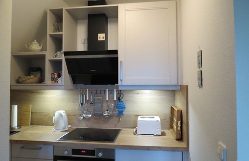Busumer Deichhausen Apartment | Modern vacation apartment - quiet location