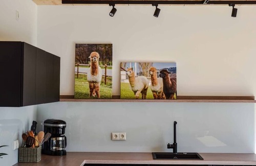 Neunburg vorm Wald Apartment | Modern vacation home (76 m²) for up to 2 people on the farm for a relaxing nature vacation
