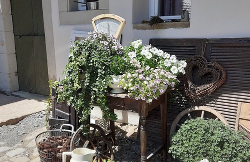 Hasselbach Apartment | Modern vacation apartment "Tante Emma"