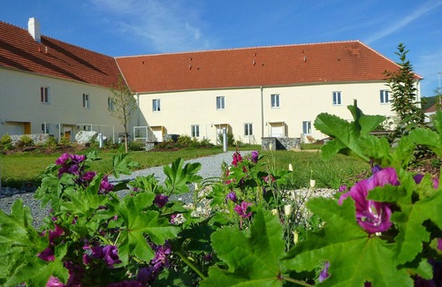 Gars am Kamp Apartment | Modernes, Renoviertes Appartement mit 45qm