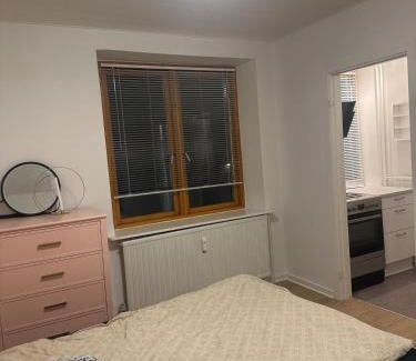Holstebro Apartment | Modernized Bed & Bath