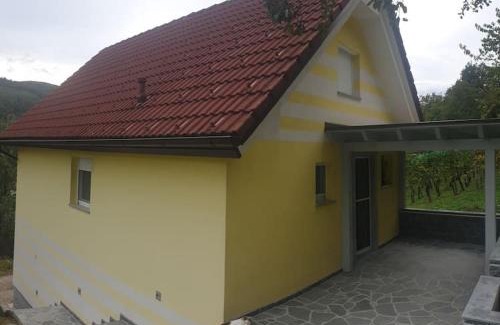Dolenjske Toplice House | moderno opremljena hiša z odmaknjeno lokacijo