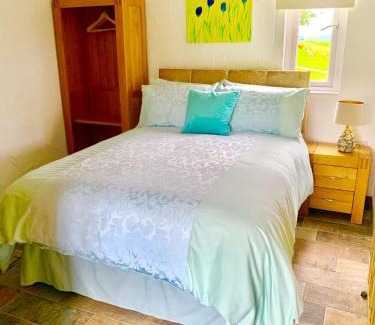 Mawr Apartment | Molehill lodge