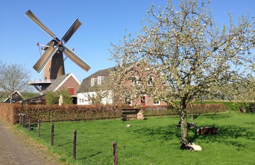 Werkhoven House | Molen Kapschuur