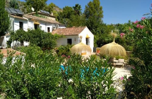 Benaojan House | Molino del Caracol