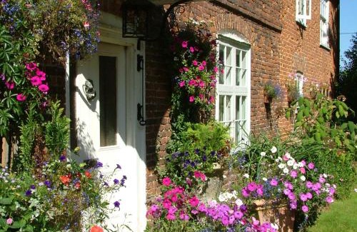 Ash House | Molland Manor House Self catering (10 bedrooms 9 bathrooms)