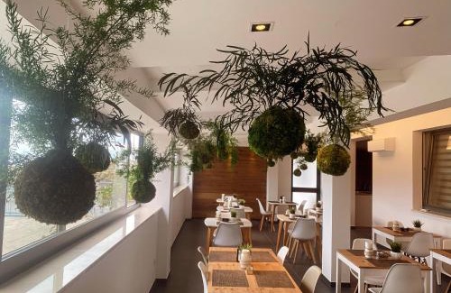 Lavello Hotel | Moma Hotel Wellness & Spa