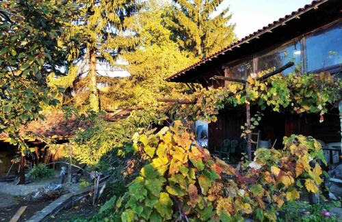 Kotel House | Momka's house