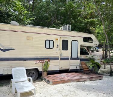 Xpujil Other | Momotoh Camper