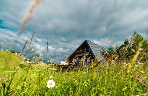 Fundata Ski Chalet | Mon Amor Chalet
