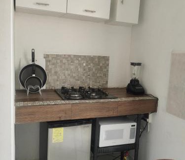 San Luis Potosi Apartment | Monoambiente