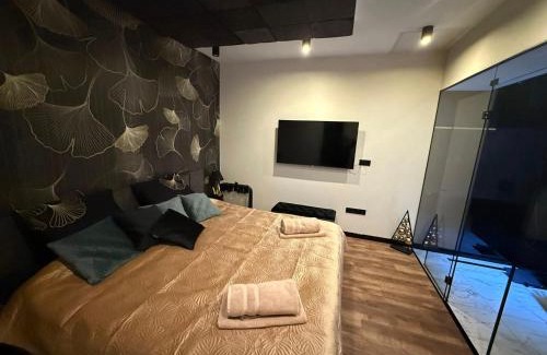Biatorbagy Apartment | MONTANA Wellness Apartman