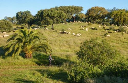 Redondo House | Monte das Sesmarias