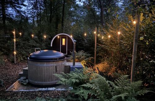 Diever Apartment | Mooi 4p Wellness chalet in het Bos met finse Sauna en Hottub