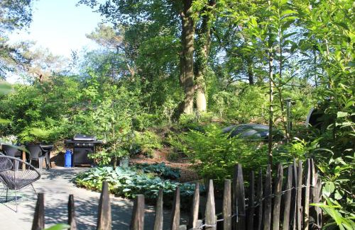 Diever Apartment | Mooi 4p Wellness chalet in het Bos met finse Sauna en Hottub