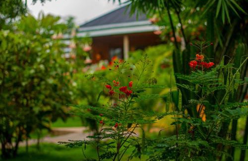 Lake Manyara National Park Cabin | Moonbow lodge