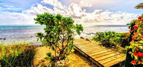 Ha'apiti House | MOOREA - Fare Taina Iti