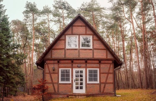 Kirchlinteln House | Moosbart Forest House: Forest bathing for young and old