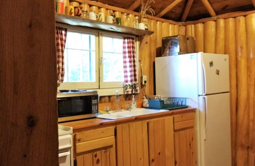 Ely Cabin | Moose Cabin at Wilderness Wind near Armstrong Lake near Ely, MN