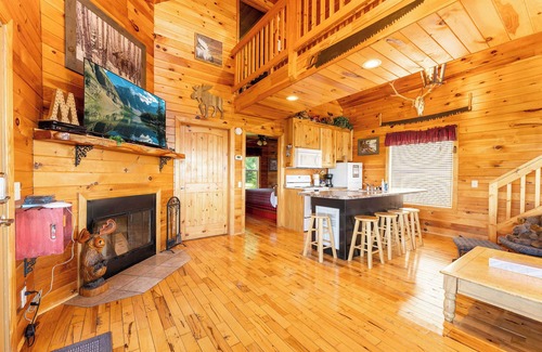 Bryant Cabin | Moose Tracks Cabin – Hot Tub & Bluff Views