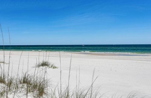Orange Beach House | Morning Glory