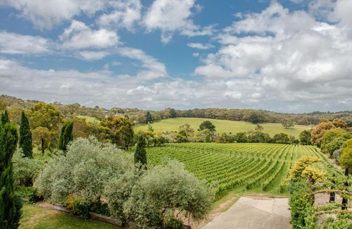 Main Ridge House | Morning Sun Vineyard