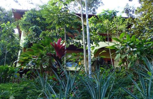 Torio Hotel | Morrillo Beach Eco Resort