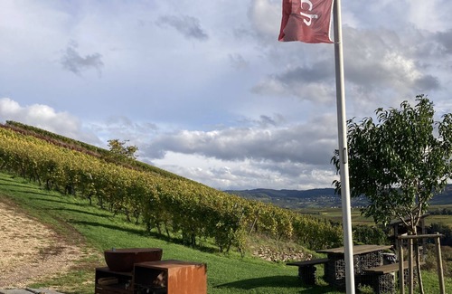 Kluesserath House | MoselHoch 2 is the middle of three vacation cottages on the edge of the vineyards.
