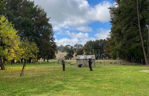 Molong Other | Moss Hollow Cottage Farmstay
