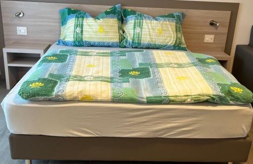 Verdabbio Hotel | Motel Afia