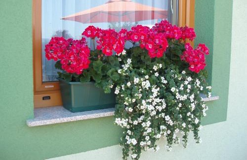 Spodnje Hoce Bed & Breakfast | Motel Divjak